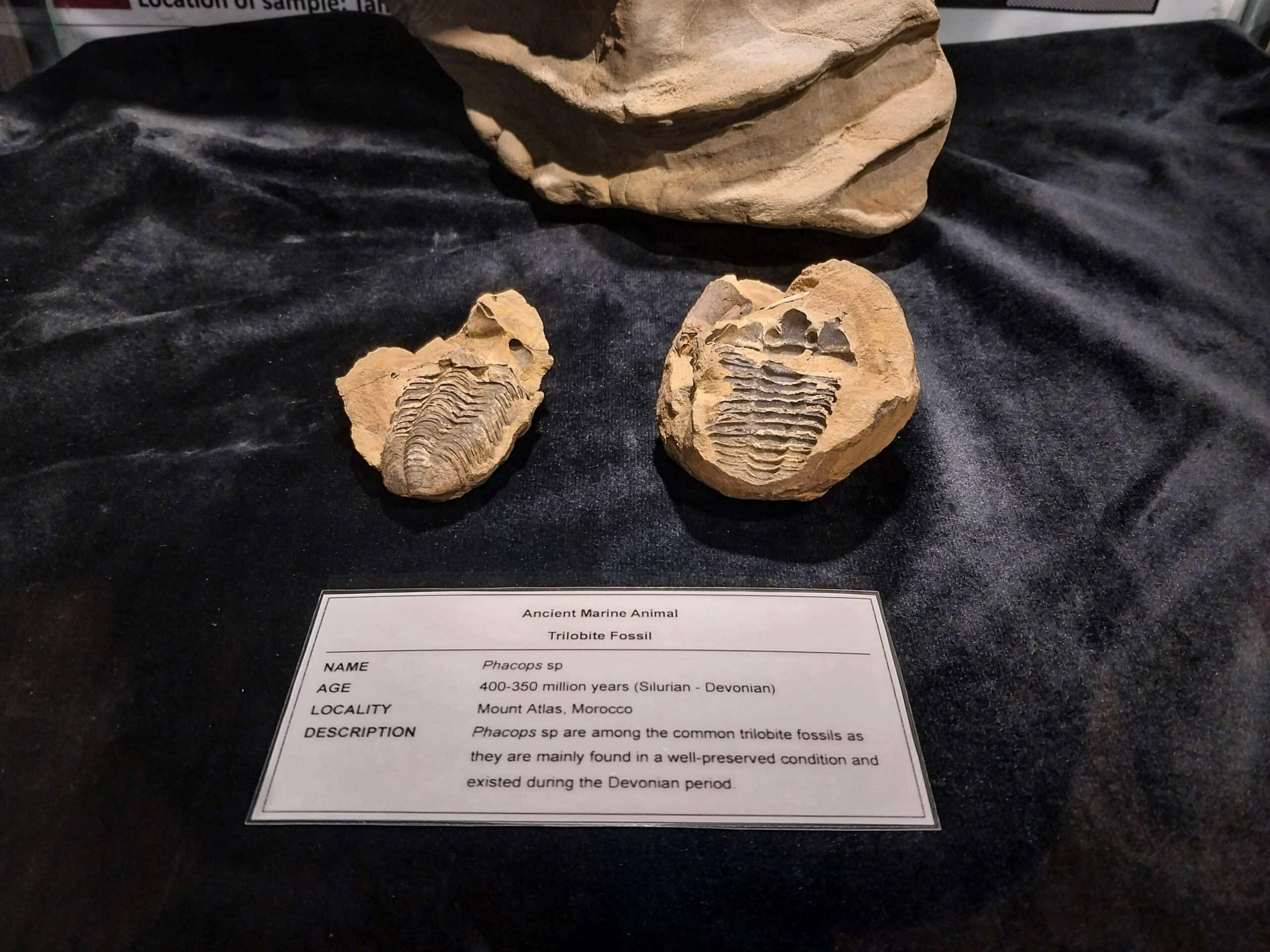 Langkawi Geopark Discovery Centre