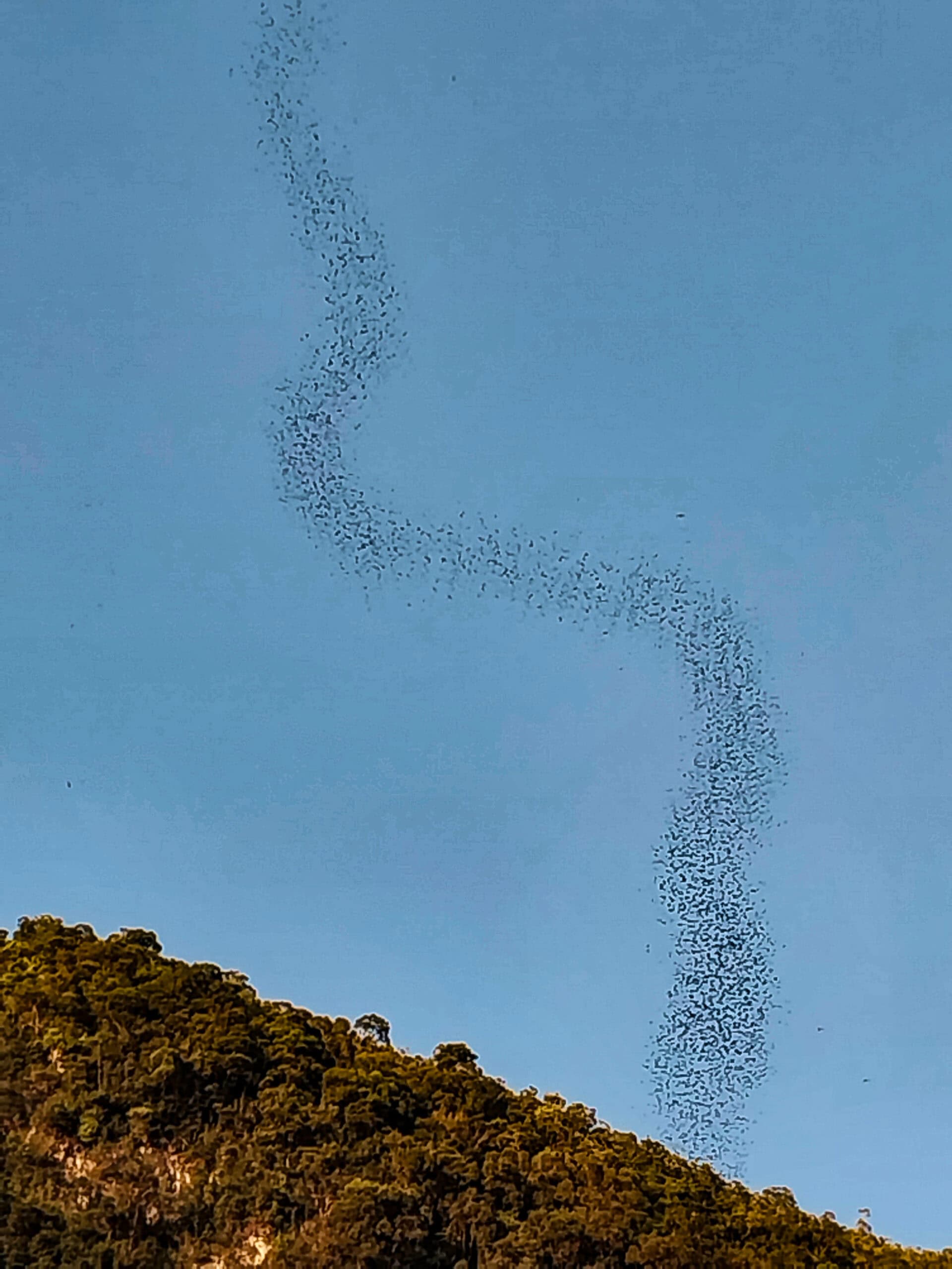 Mulu National Park Sarawak