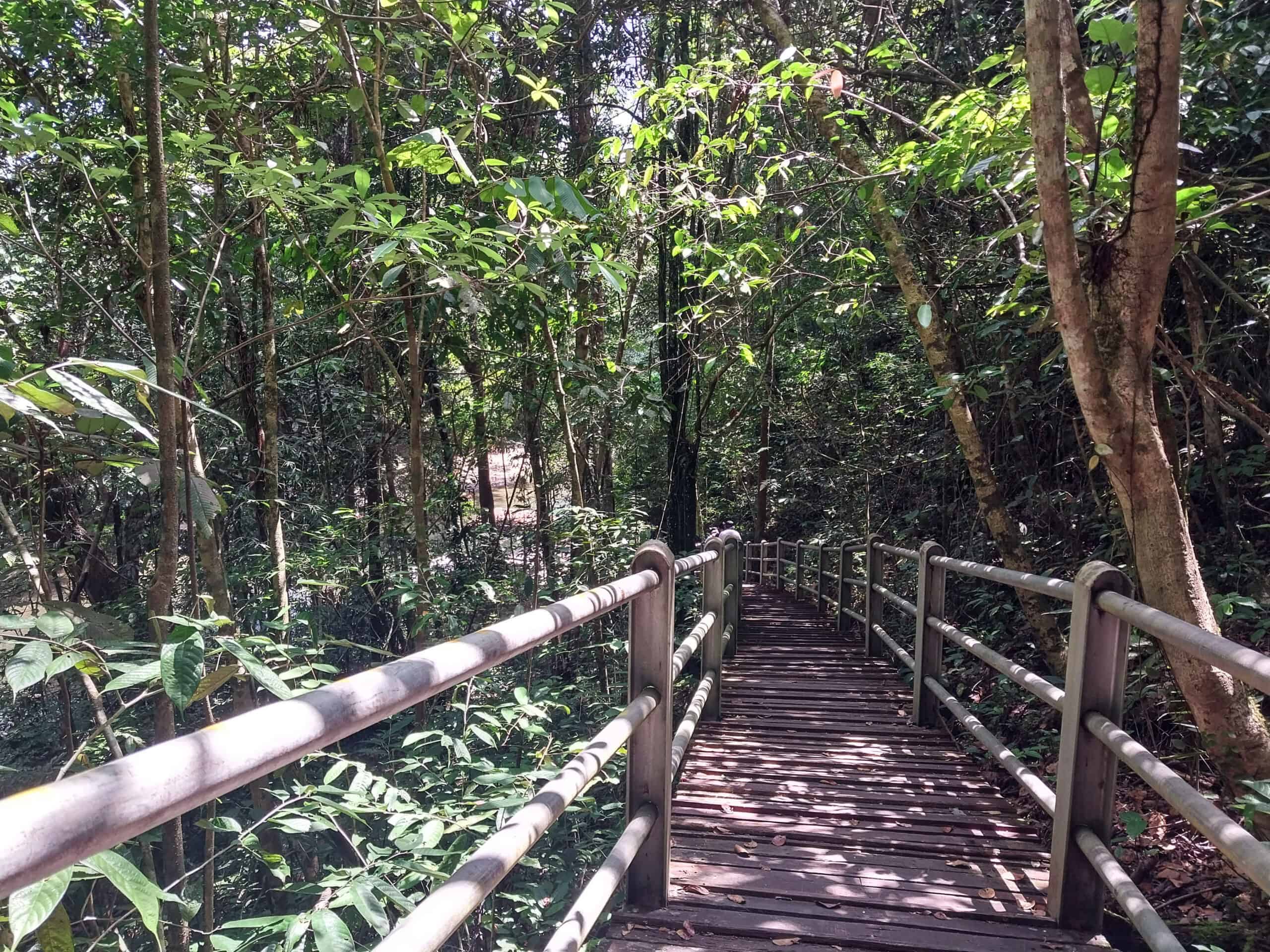 Mulu National Park Sarawak