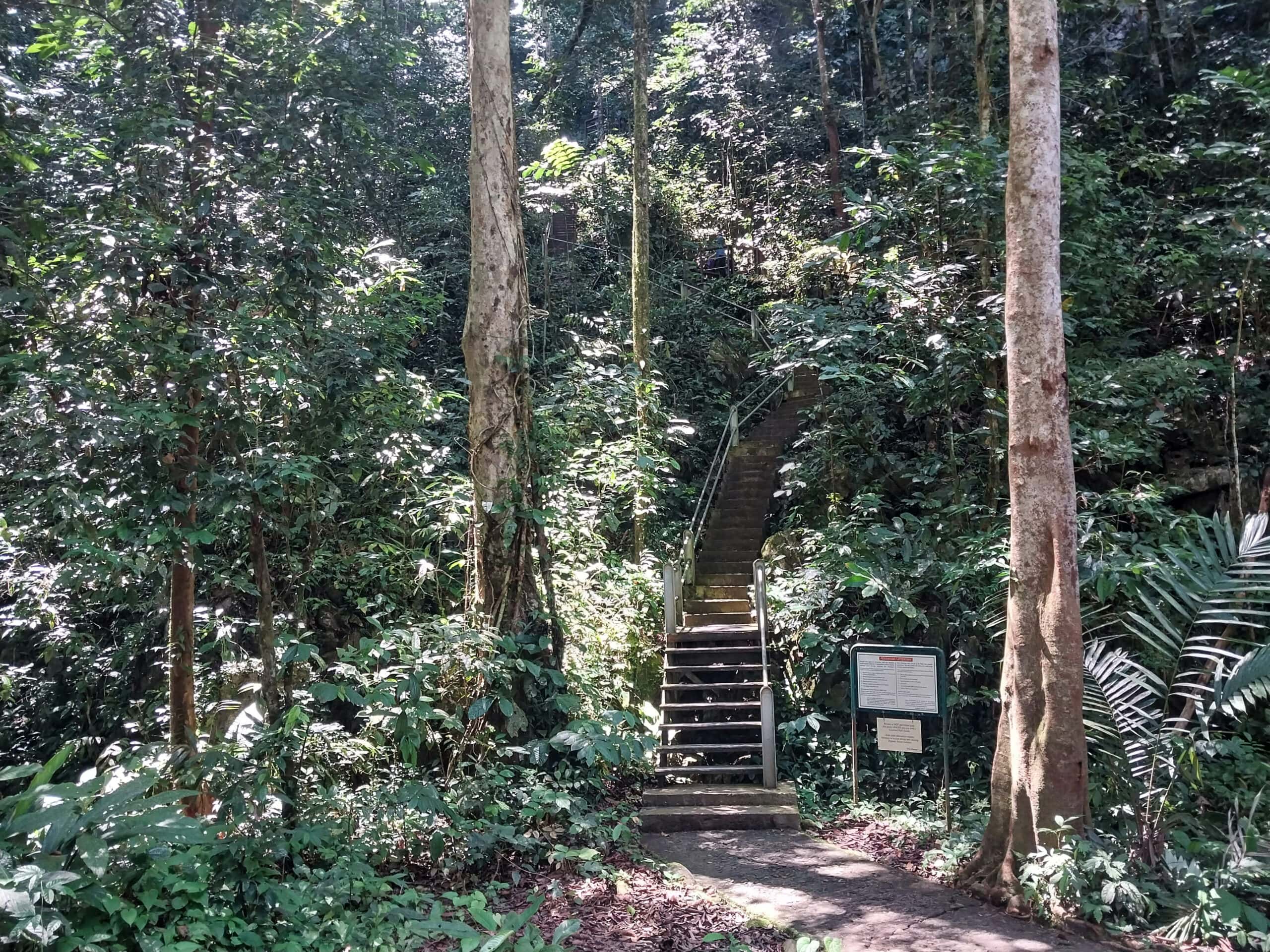 Mulu National Park Sarawak