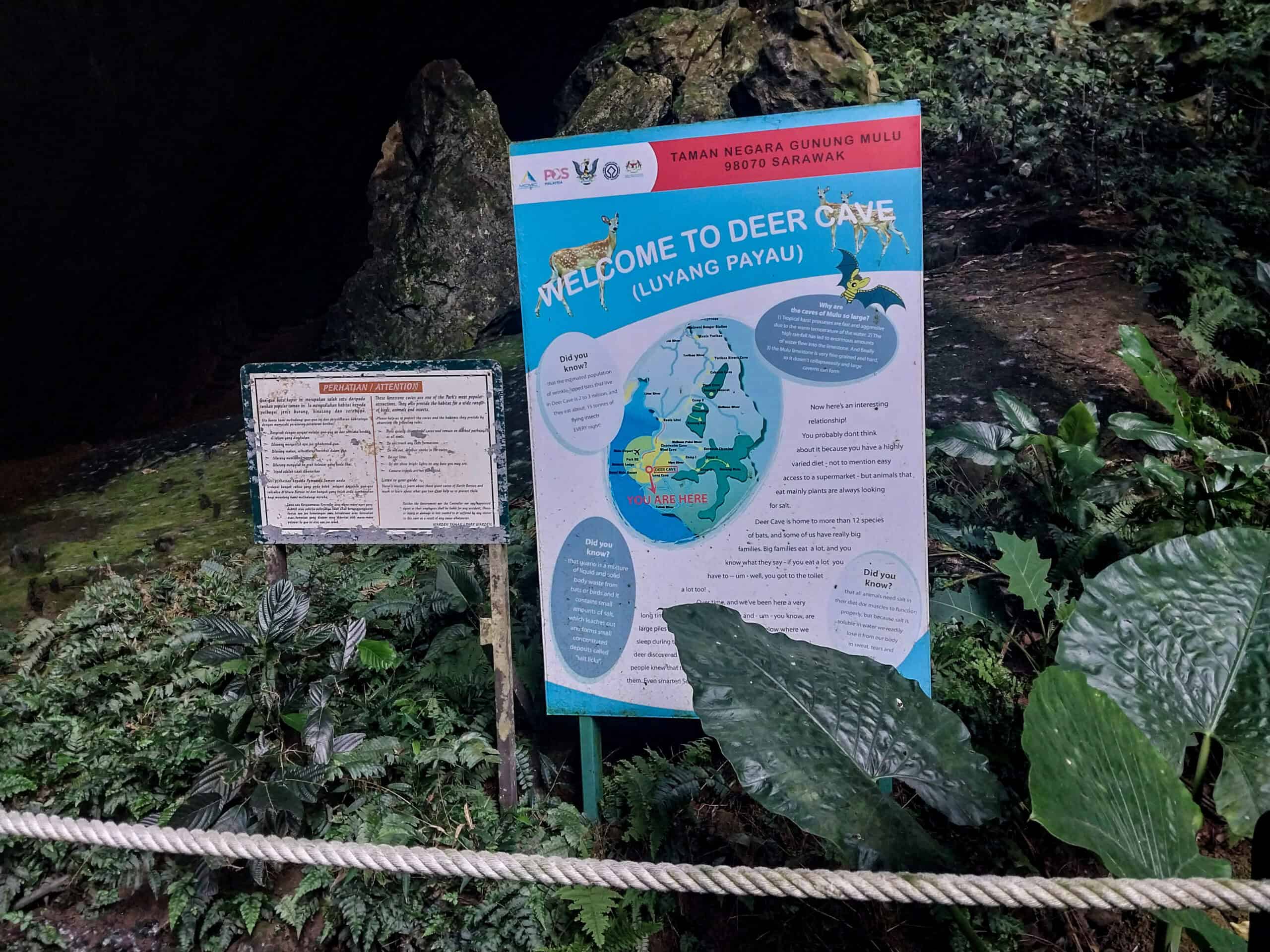 Mulu National Park Sarawak