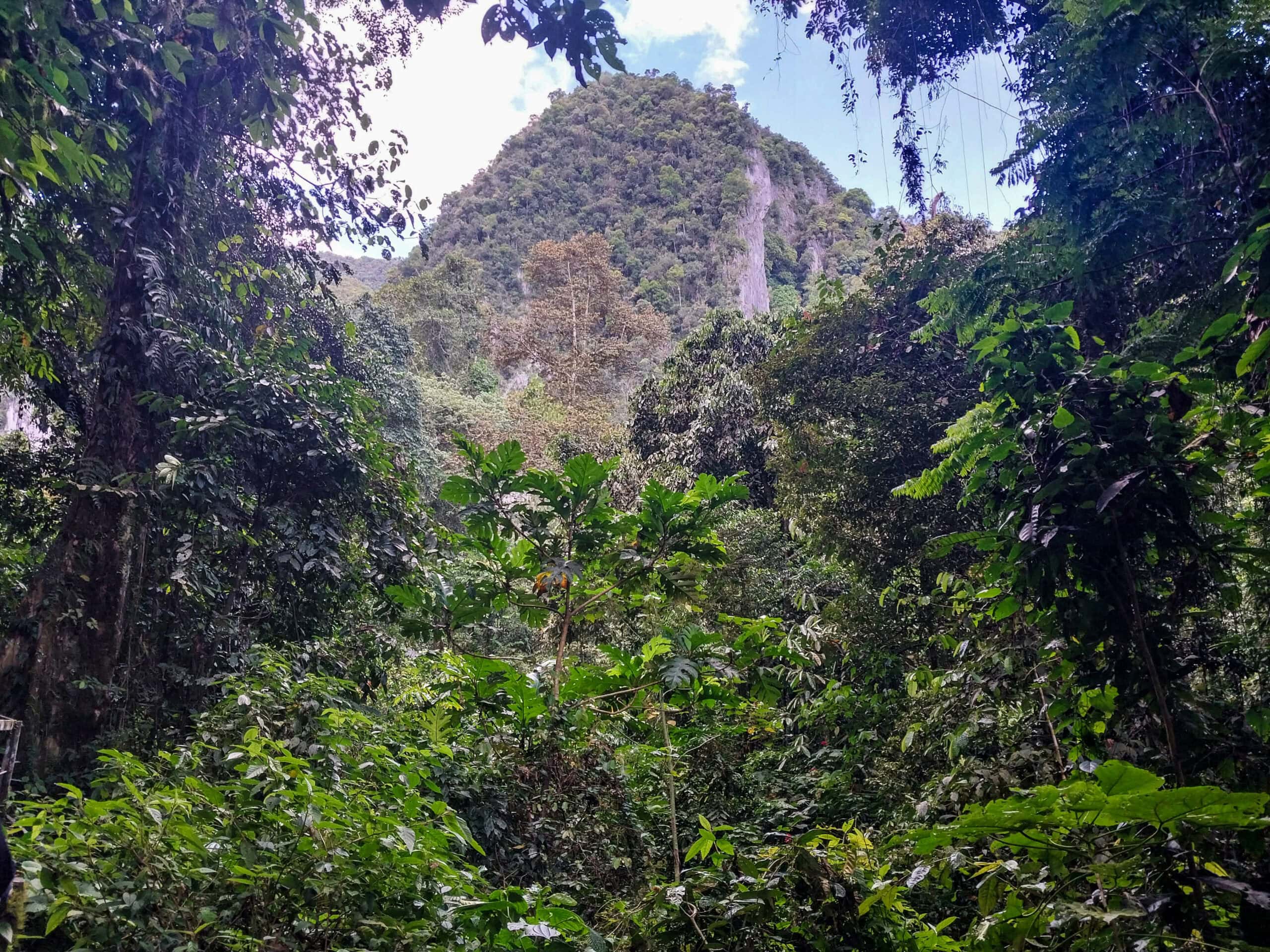 Mulu National Park Sarawak