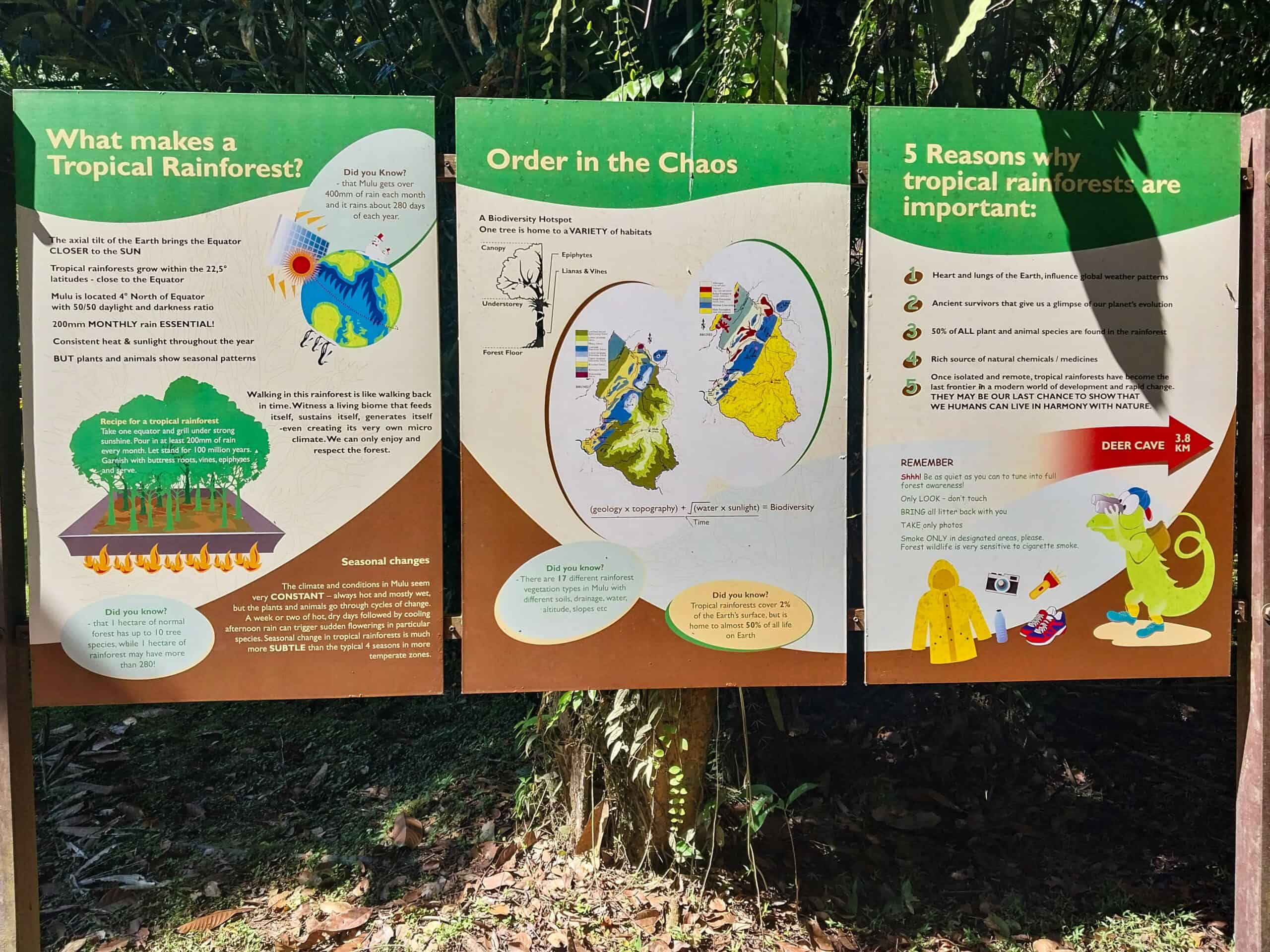 Mulu National Park Sarawak