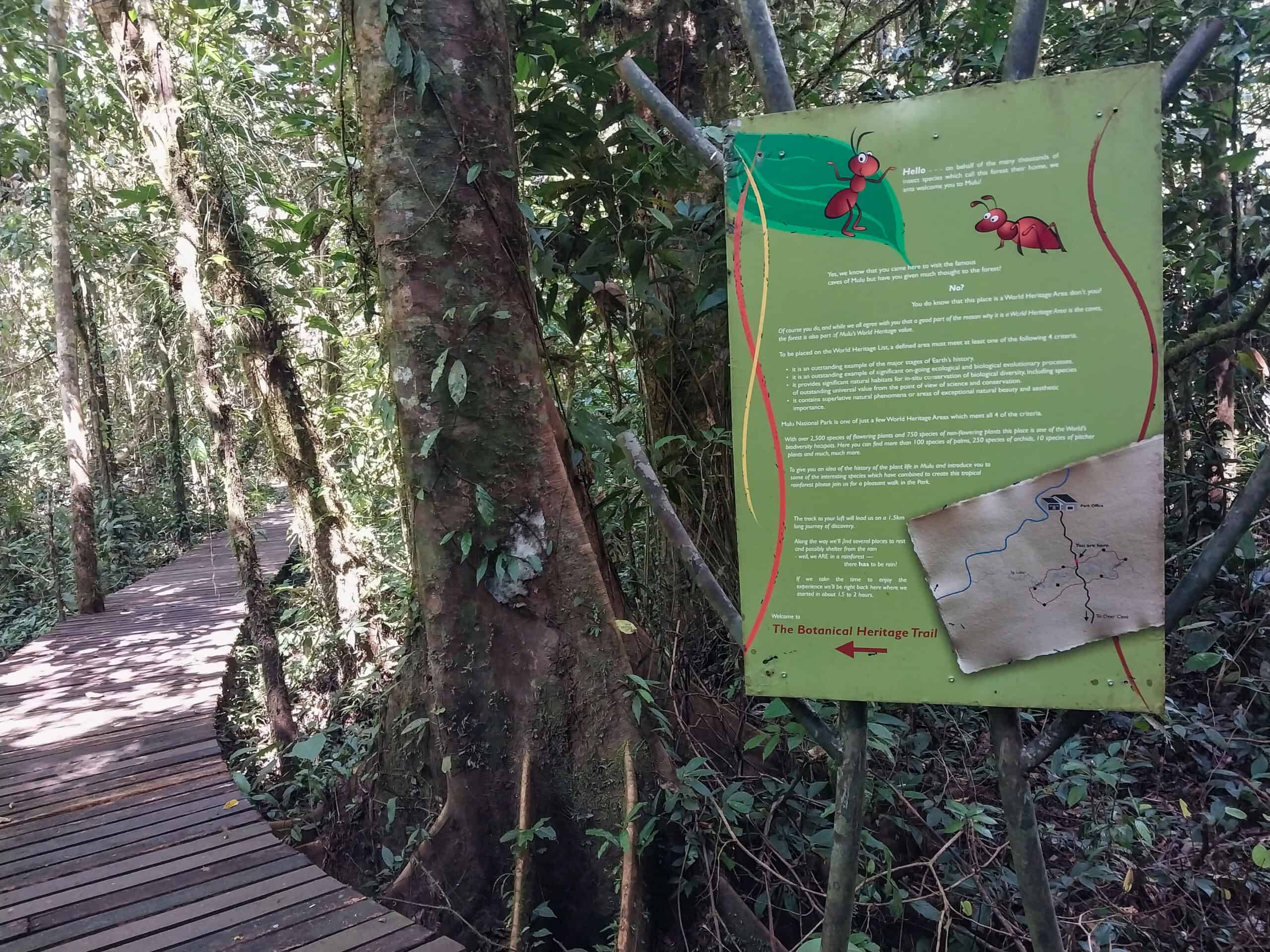 Mulu National Park Sarawak