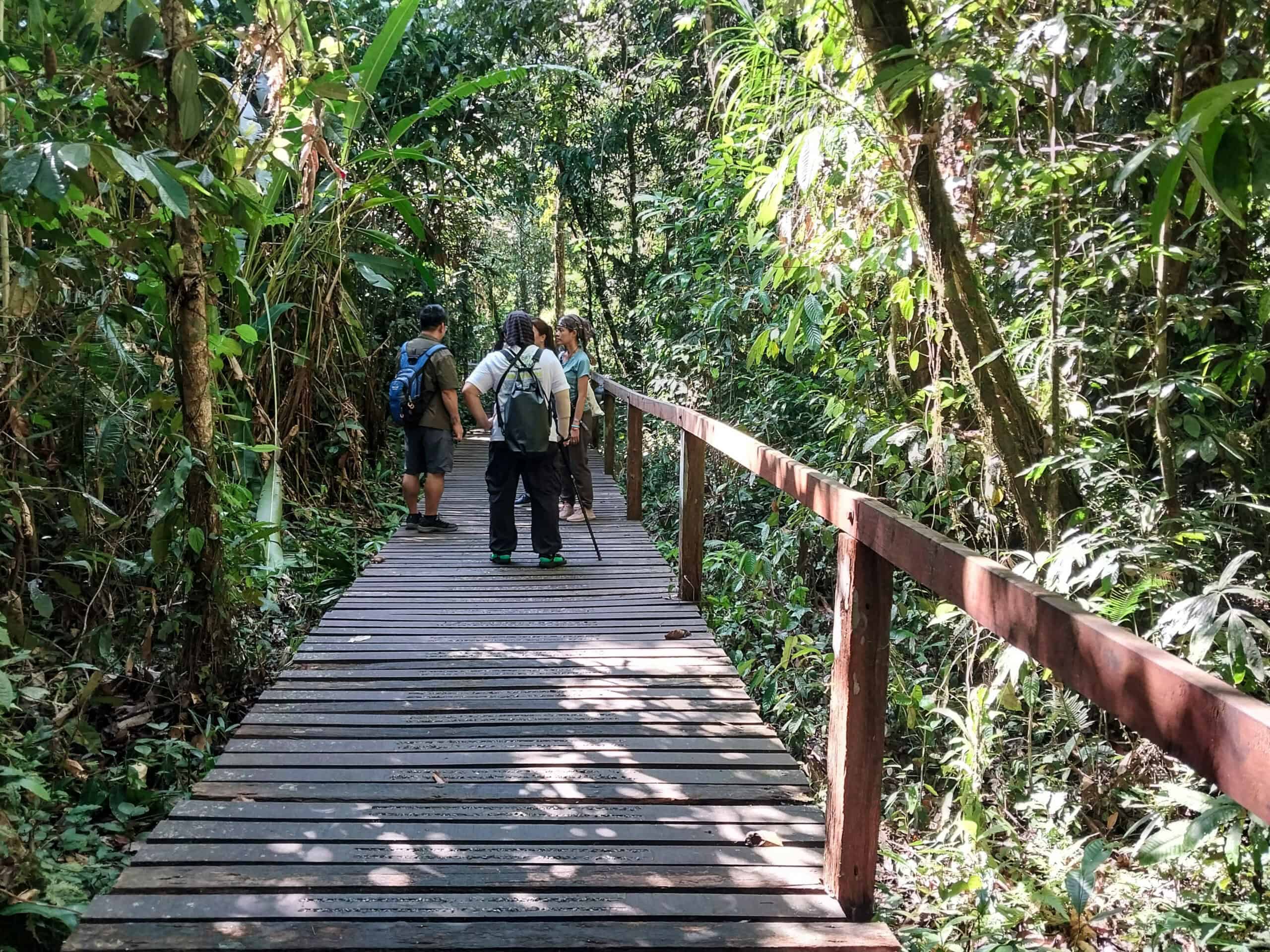Mulu National Park Sarawak