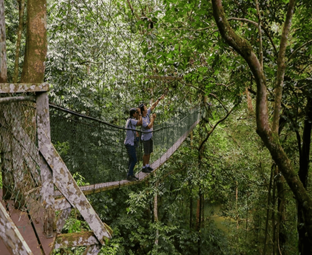 Mulu National Park Sarawak