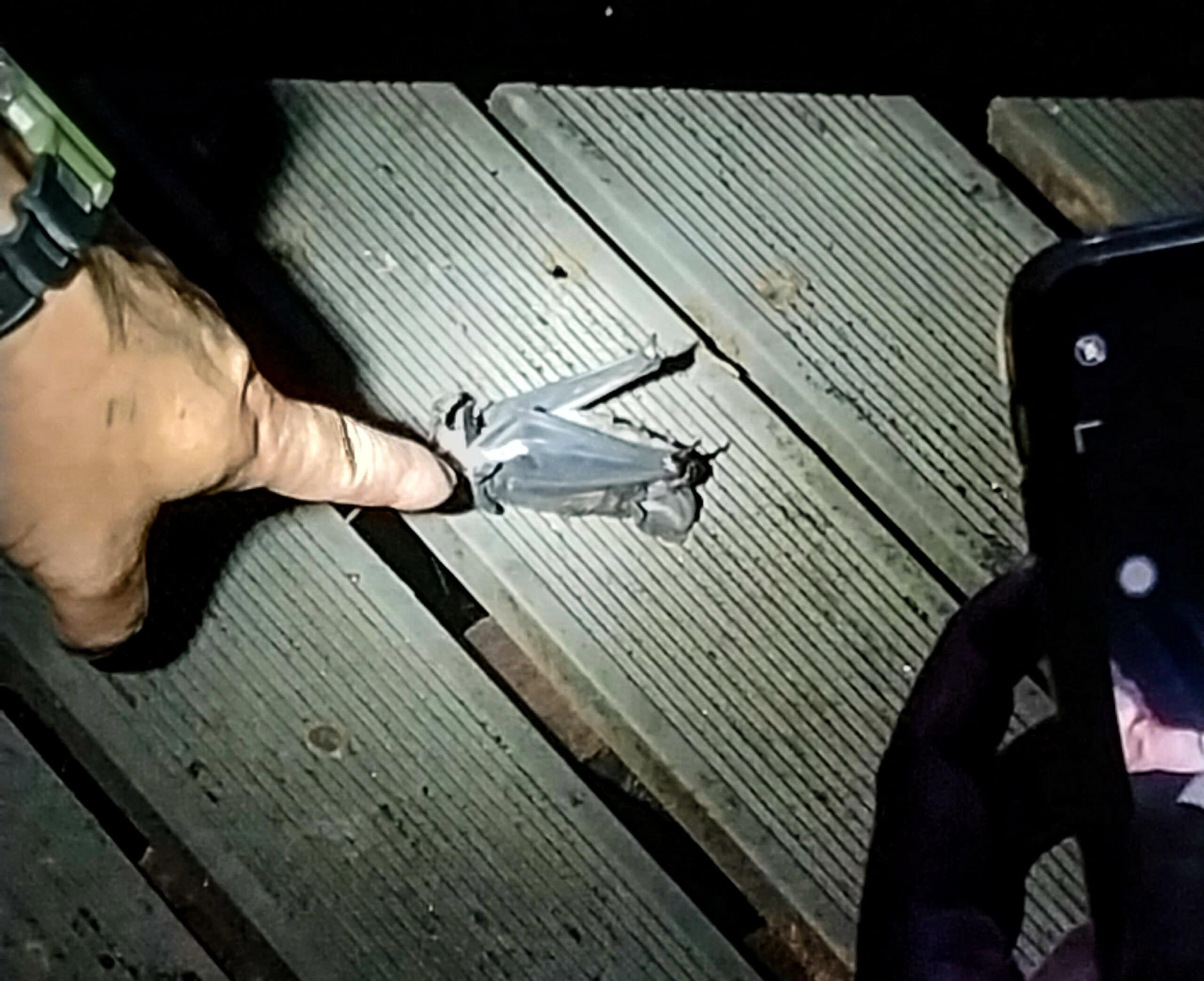 Mulu National Park Sarawak