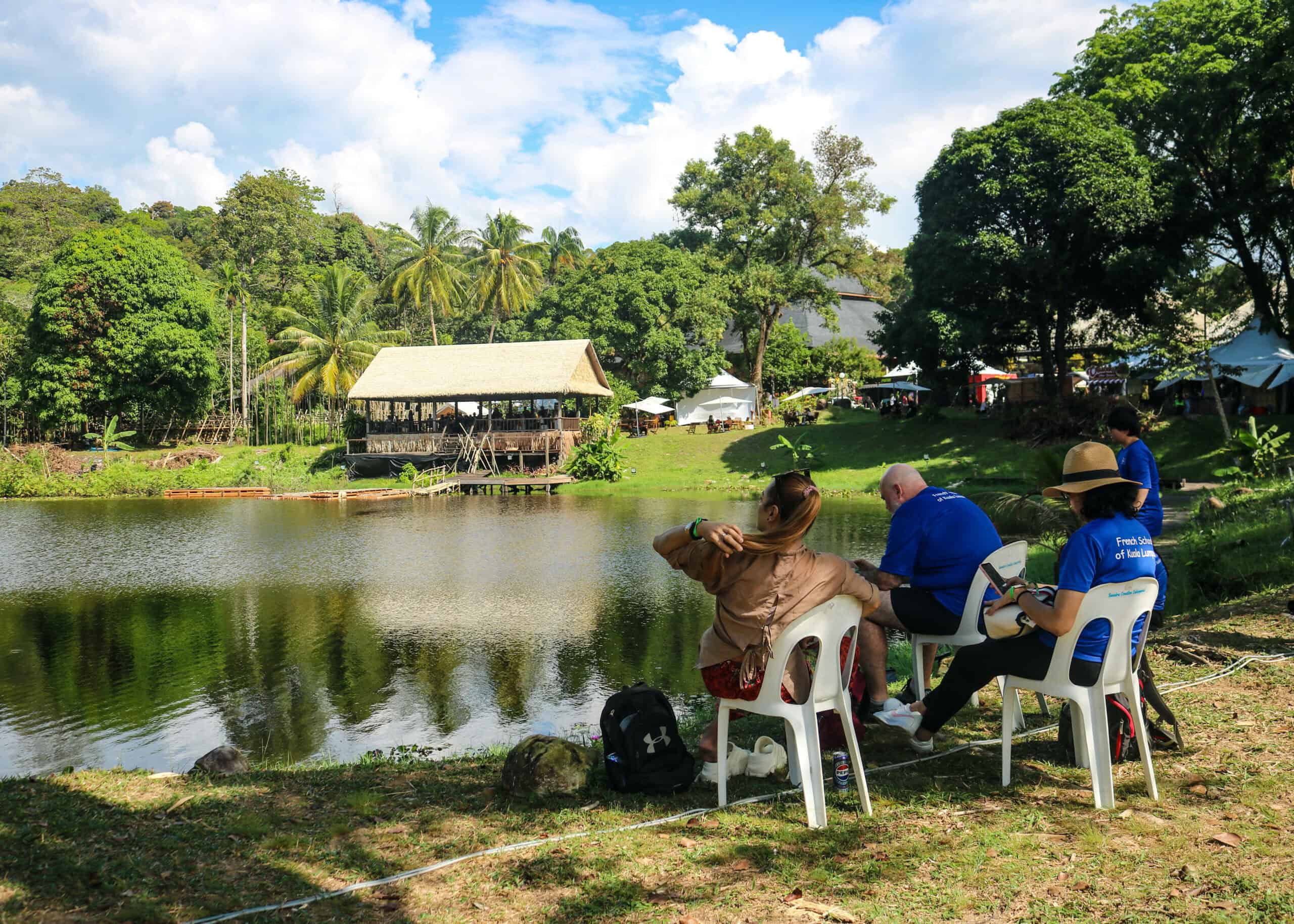 Rainforest World Music Festival 2026: Beyond the Main Stage